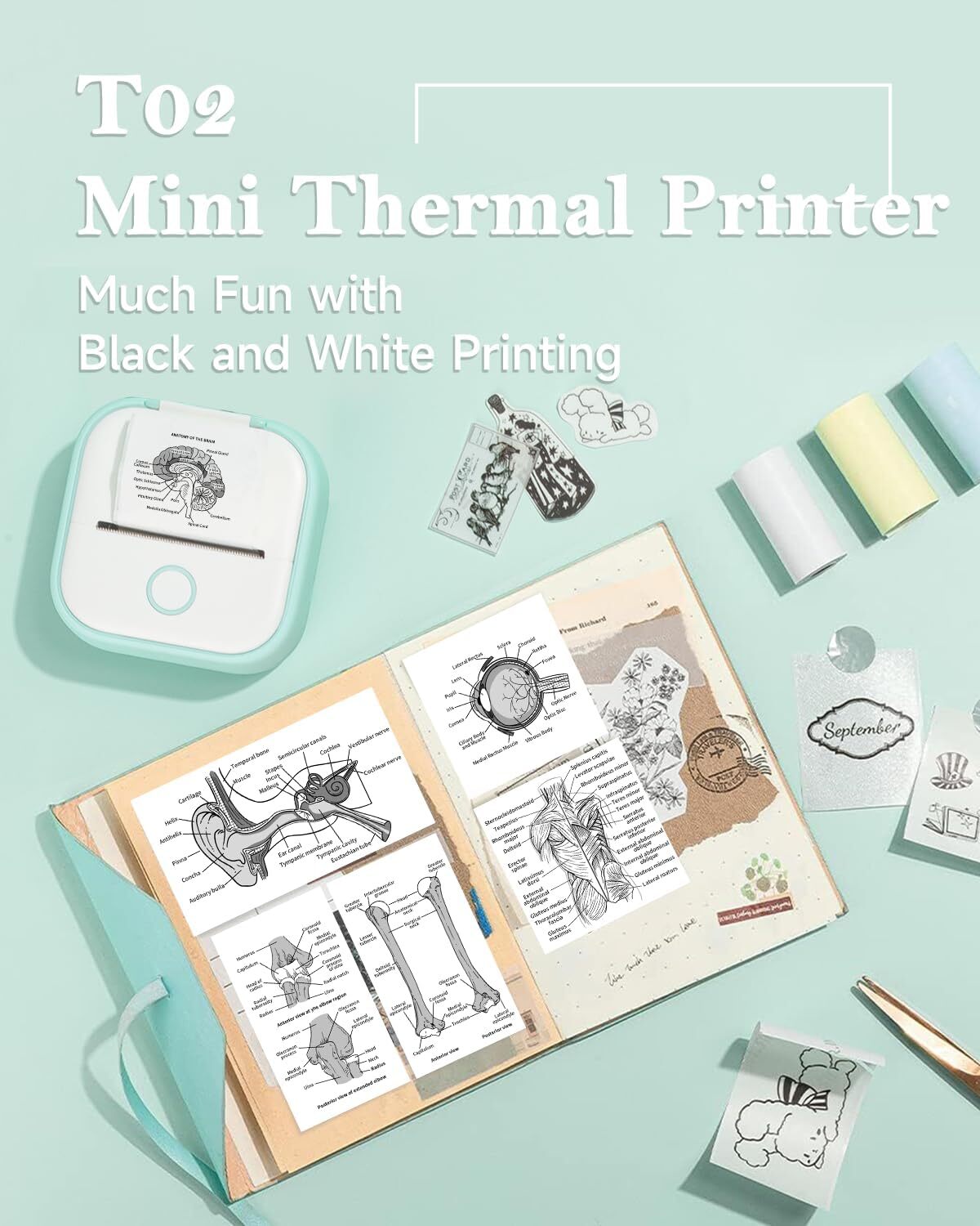Phomemo T02 Mini Pocket Bluetooth Thermal Printer Wireless Photo Inkless Paper