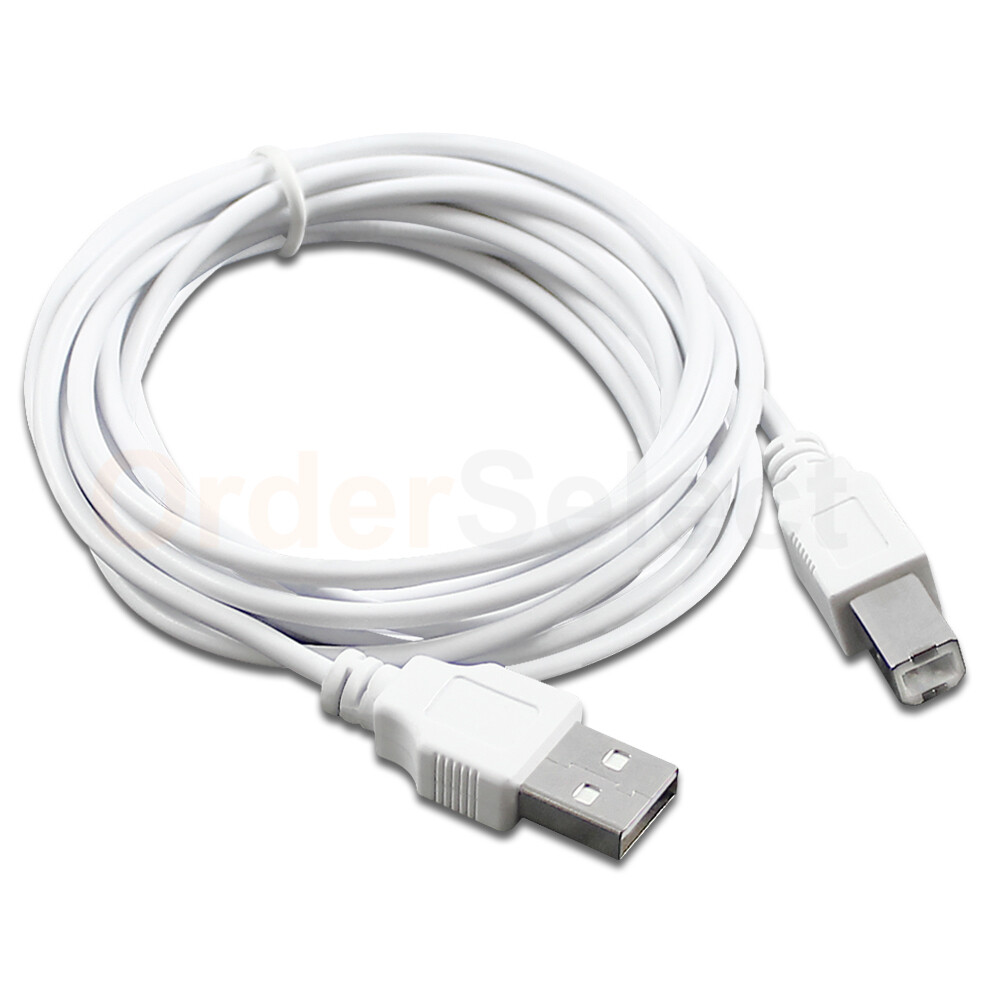 2X 10ft USB2.0 A Male to B Male Printer Scanner Cable Cord (U2A1-10WT)