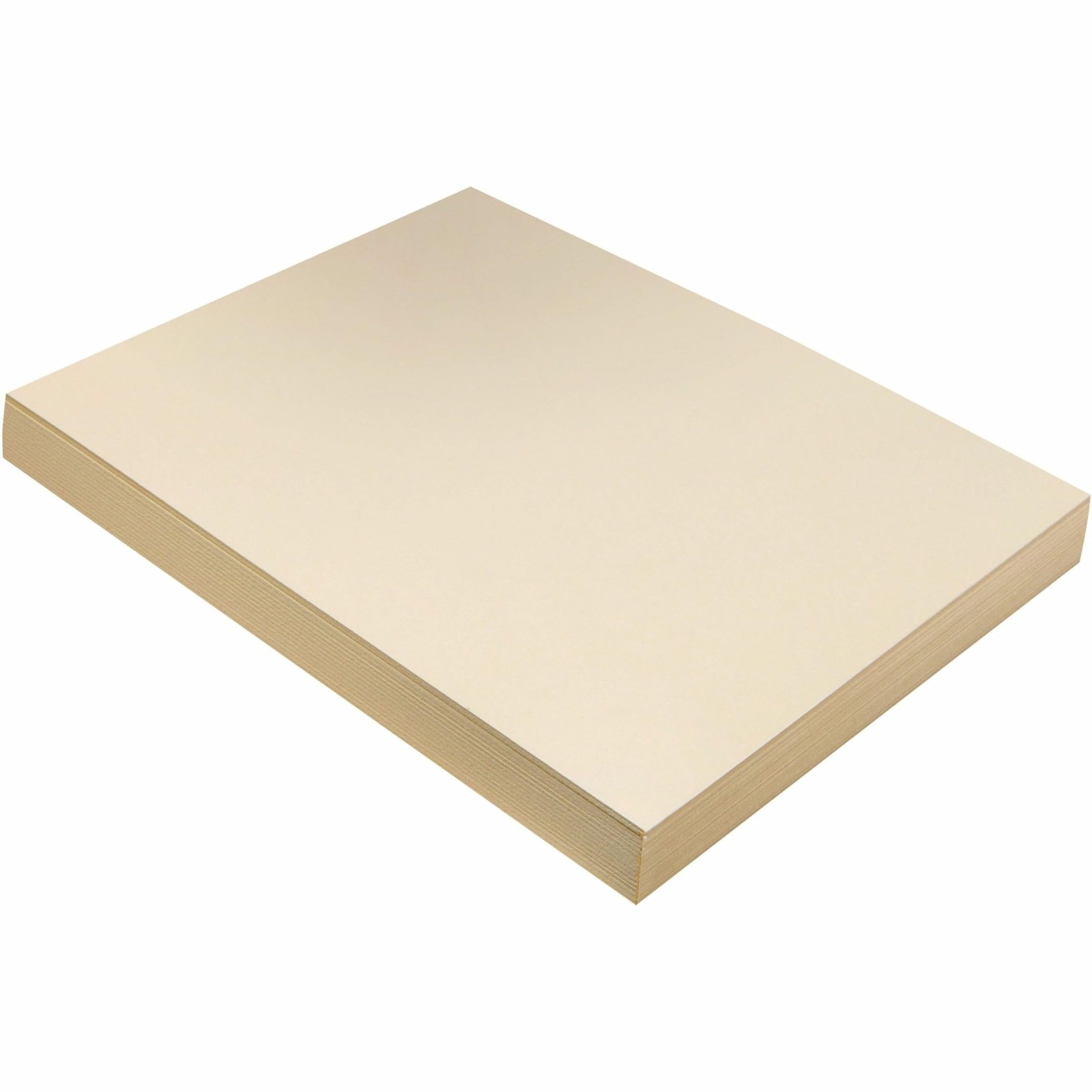 100 PCS Manila Heavyweight Tagboard 12×9 Inch Arts Crafts Office Supplies