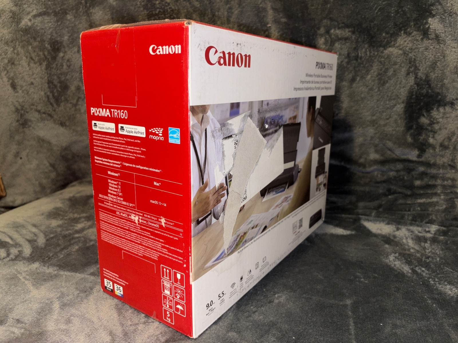 Canon PIXMA TR160 Color Wireless portable business printer
