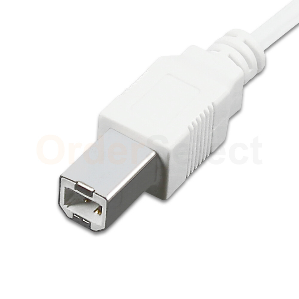 2X 10ft USB2.0 A Male to B Male Printer Scanner Cable Cord (U2A1-10WT)
