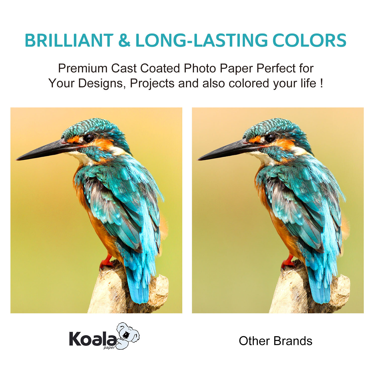 Assorted Size Bundle Koala Ultra Premium 72lb Glossy Photo Paper Inkjet Printer