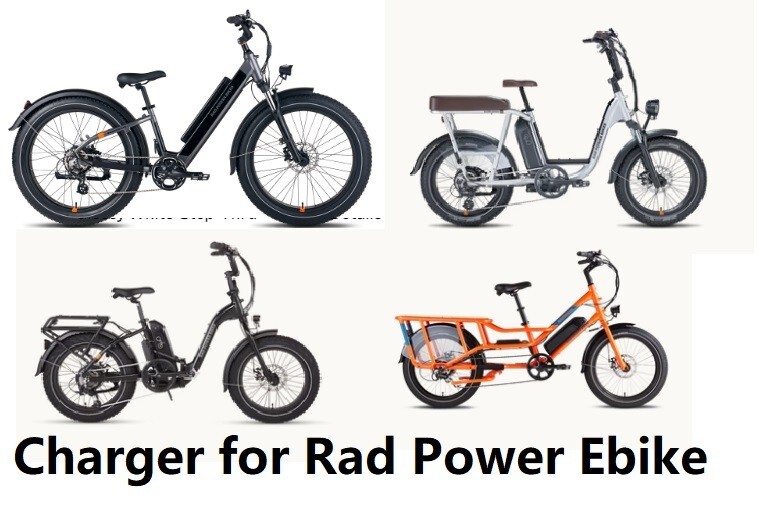🔥smart Battery Charger For Rad Power Ebike radrover radcity radrunner radmini