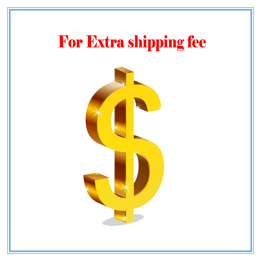 Shipping cost, Extra fee,Freight charges,custom fee $100