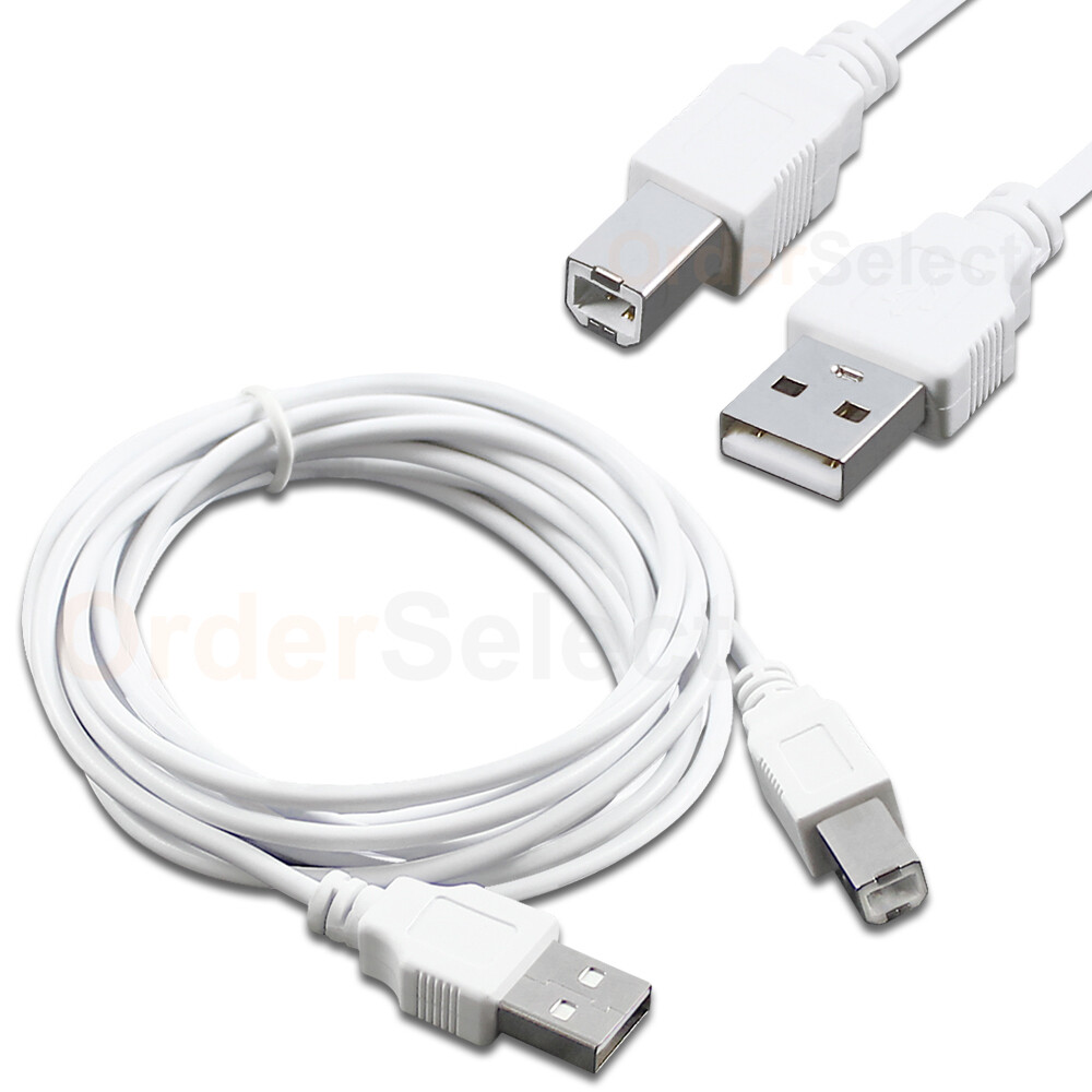 10ft USB2.0 A Male to B Male Printer Scanner Cable Cord (U2A1-10WT)