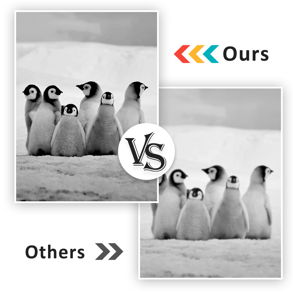W2110A/X Toner Compatible With HP 206A/X LaserJet Pro MFP M283fdw M282 No Chip