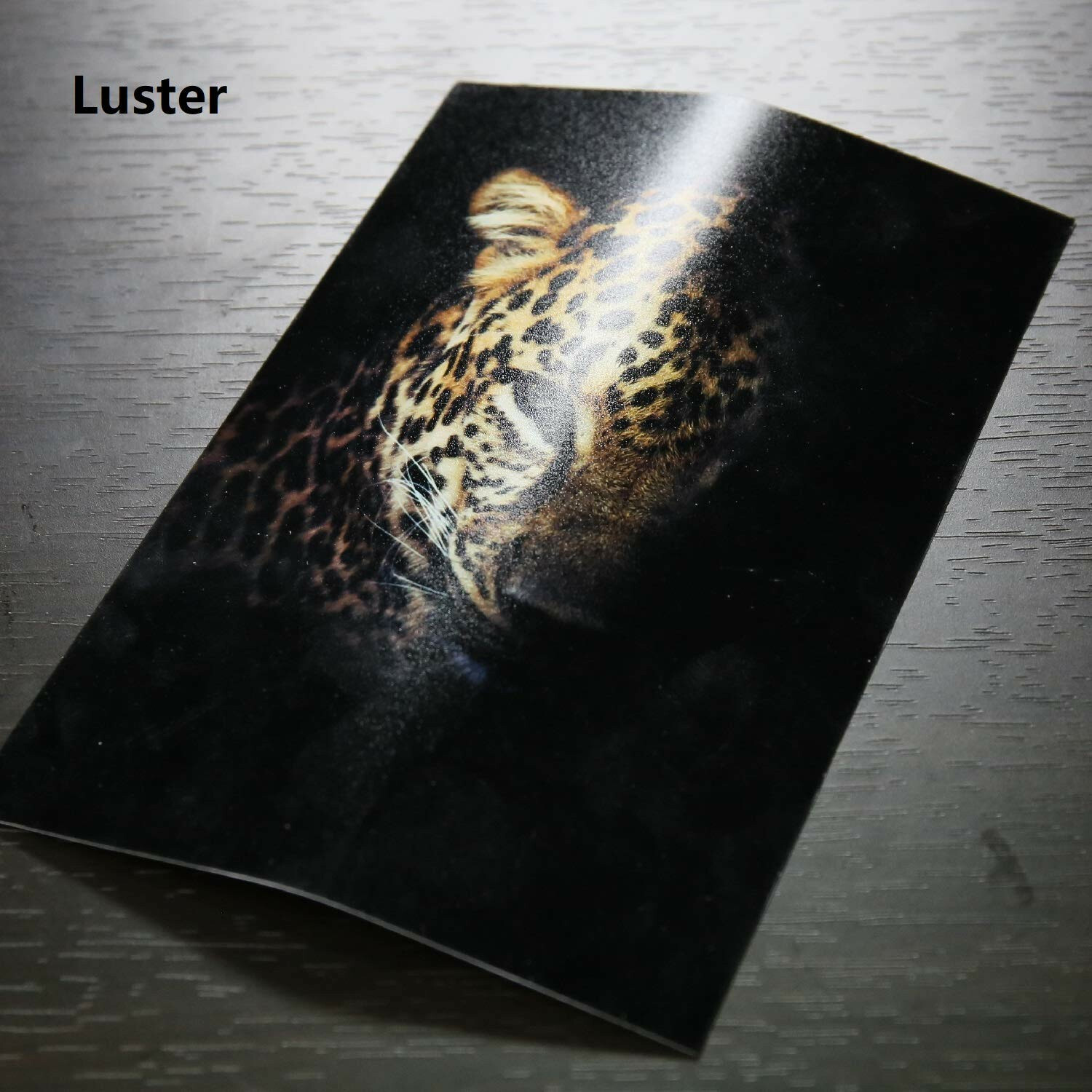 Koala Premium Luster Photo Paper 11×17 66lb Inkjet Printer 50 Sheets 250gsm