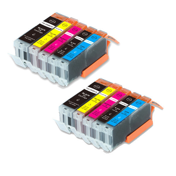 10 PK Ink Combo Set + smart chip for Canon 250 251 MG6600 MG6620 MG6622 MX920