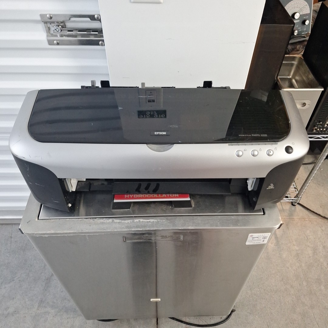 Epson Stylus Photo 2200 Printer