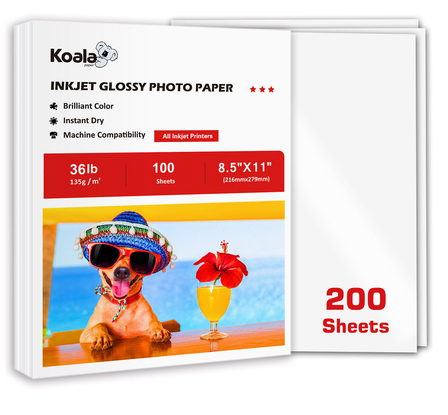 Koala Thin Glossy Photo Paper 8.5×11 36lb 200 Ct Inkjet Printer Flyer Brochure