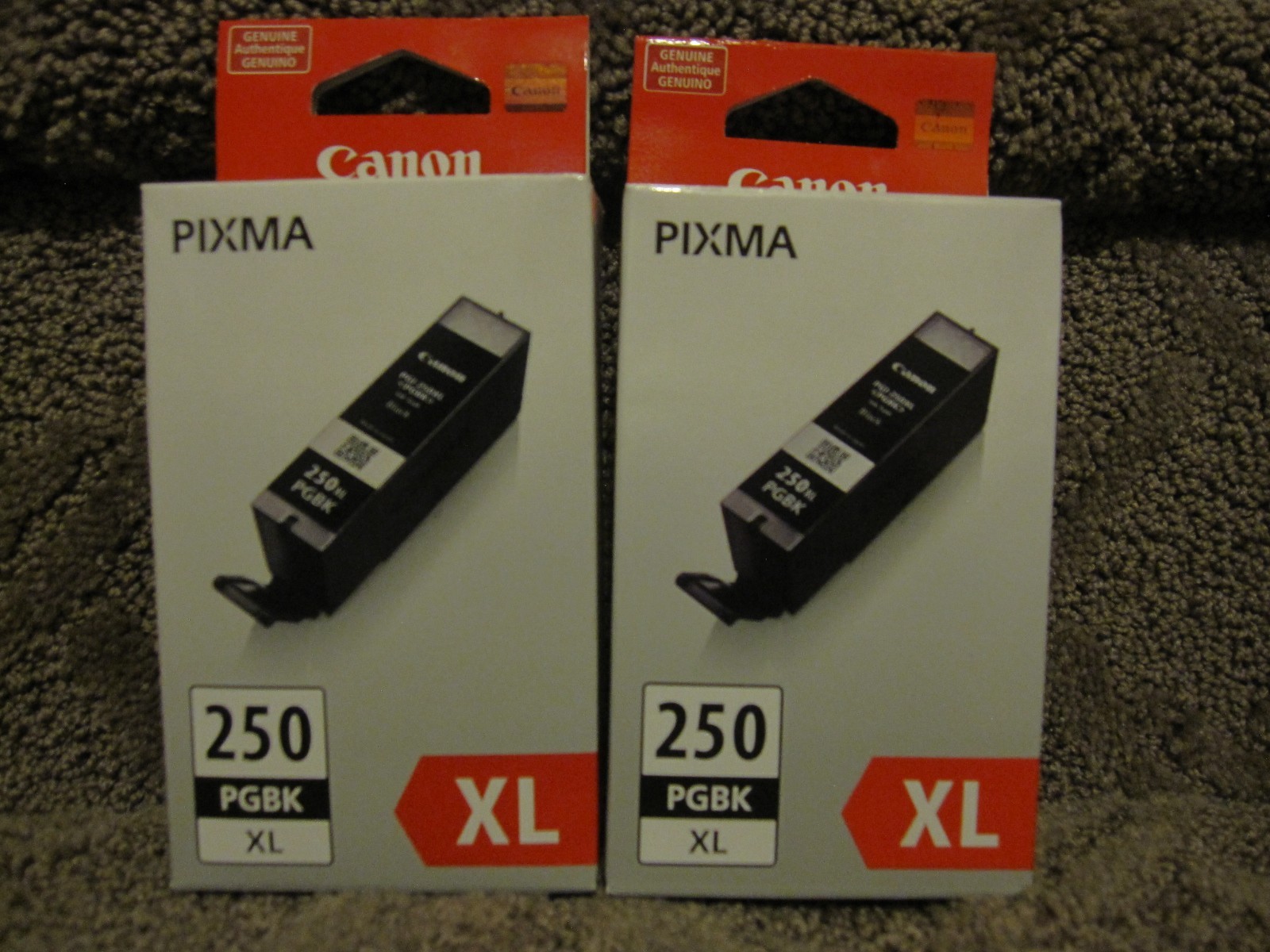 Lot of 2 Canon PGI-250XL Pixma 250 XL PGBK Black Ink Cartridges Genuine 250XL