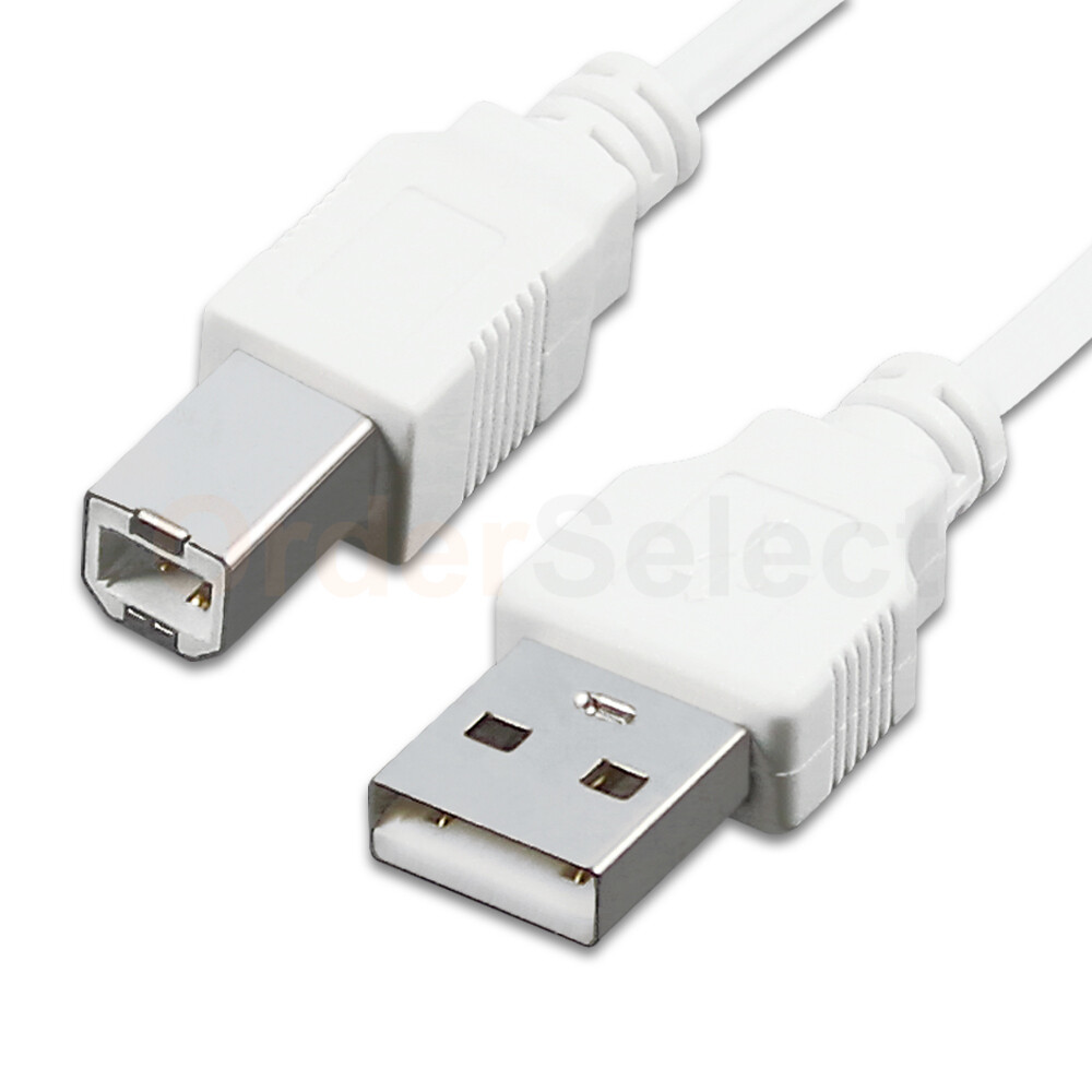 2X 10ft USB2.0 A Male to B Male Printer Scanner Cable Cord (U2A1-10WT)