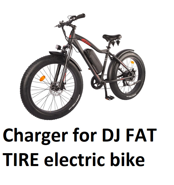 🔥Li-ion Lithium Battery Charger for DJ city mountain fat tire Electric Bike🔥