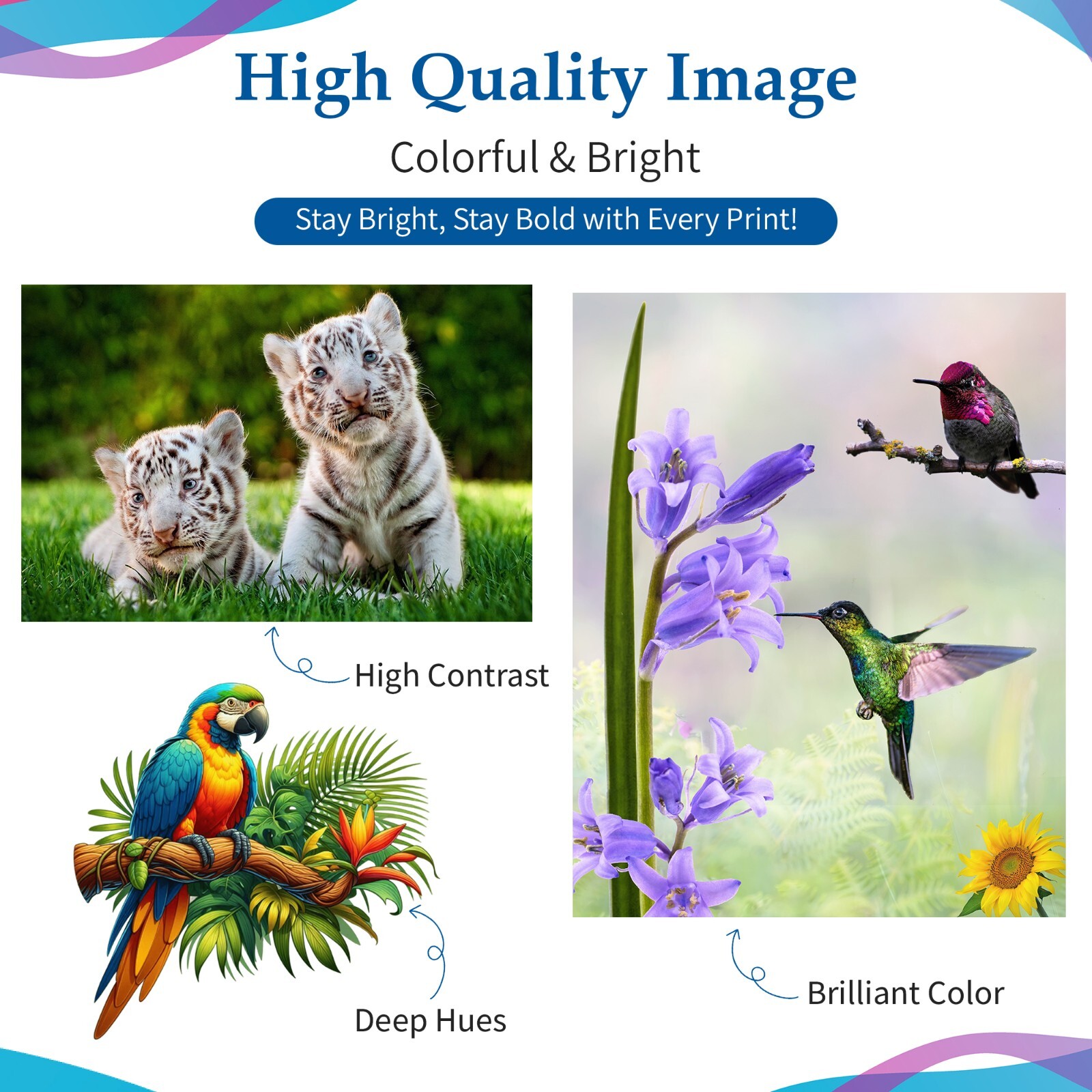 Non-OEM Universal Premium Refill Ink Bottles for CISS Refillable HP